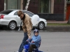 IMG_4543_resize