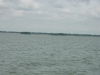 DSCN4843